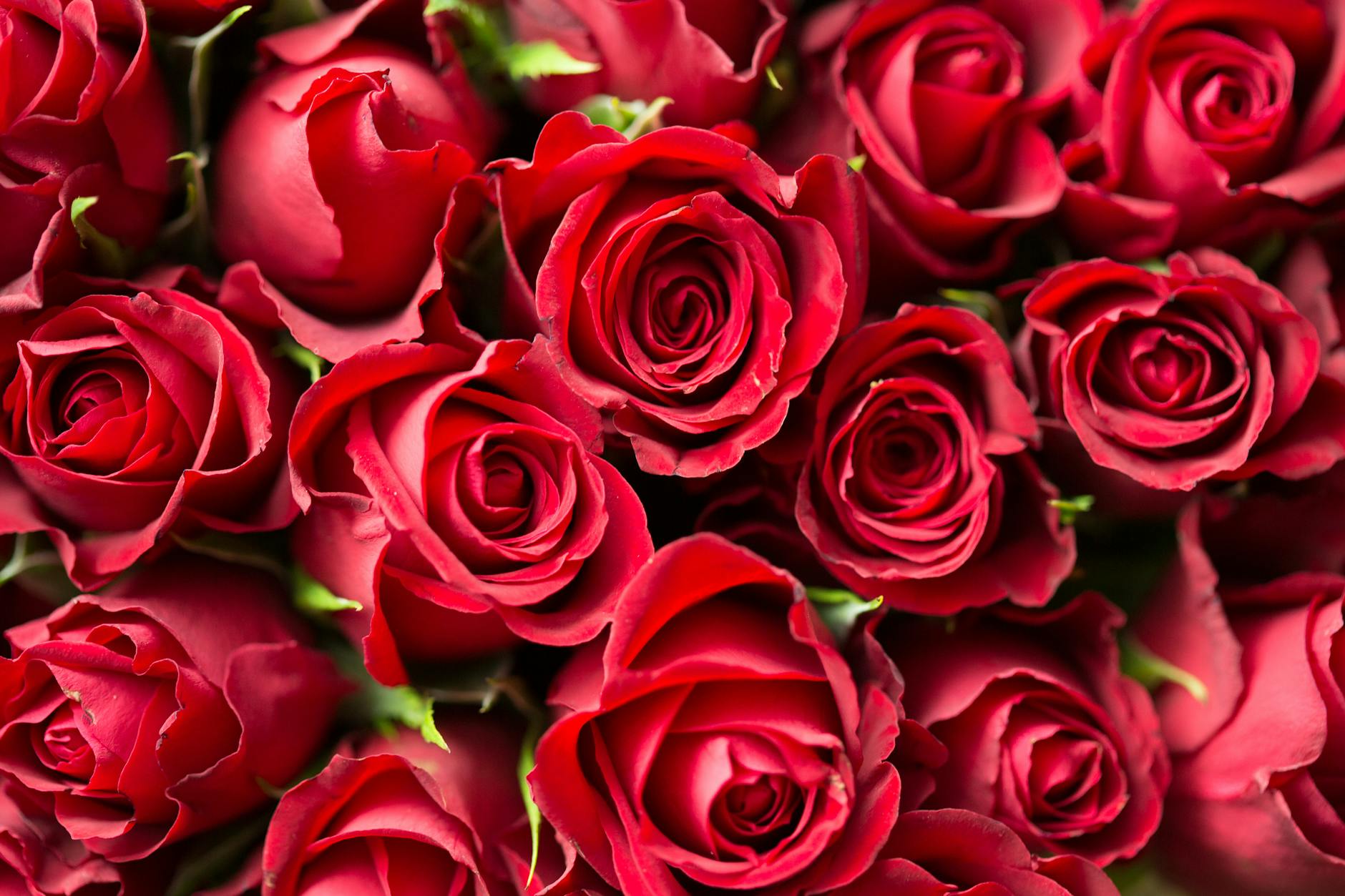 Dating While Disabled: Money